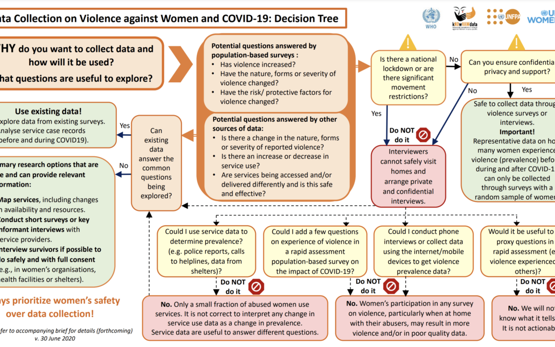 Decision tree: Data Collection on Violence against Women and COVID-19