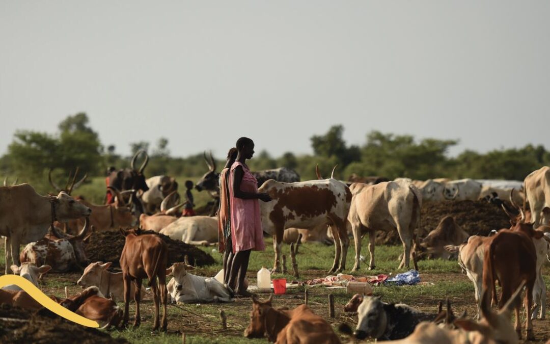 No Safe Place: A Lifetime of Violence for Conflict Affected Women and Girls in South Sudan (Policy Brief)